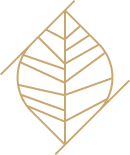 Logo feuille or géométrique, élégance naturelle et design. Symbole stylisé d'une feuille aux nervures marquées, inscrit dans un losange formé de lignes diagonales, couleur or sur fond noir.